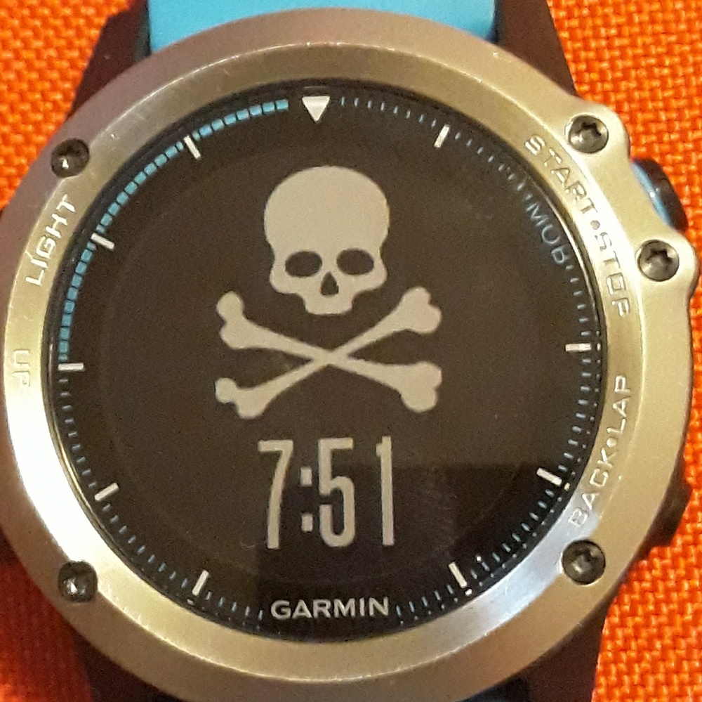 Garmin Quatix 3